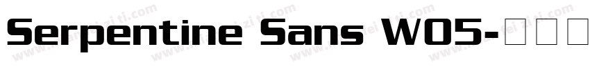Serpentine Sans W05字体转换